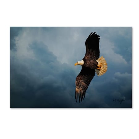Lois Bryan 'Eagle In The Sky' Canvas Art,12x19